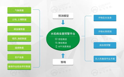 打造互聯(lián)網(wǎng)精準(zhǔn)農(nóng)業(yè)航空服務(wù)平臺的數(shù)據(jù)處理服務(wù)